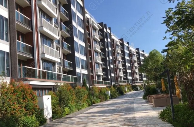 MOUNT PAVILIA TWR 09