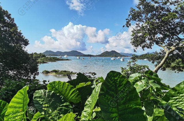 SPECIAL TWIN HOUSE WITH PRIVATE POOL